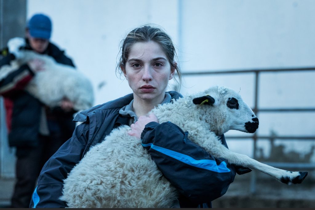 Młoda dziewczyna trzymająca na rękach owcę. Patrzy przed siebie, w tle za nią kolejna osoba, także niesie owcę.
